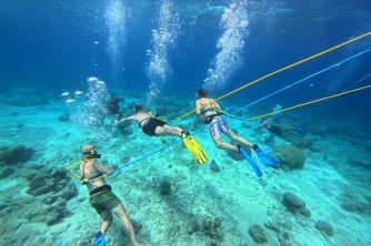 SNUBA Diving in Roatan – Beach Access